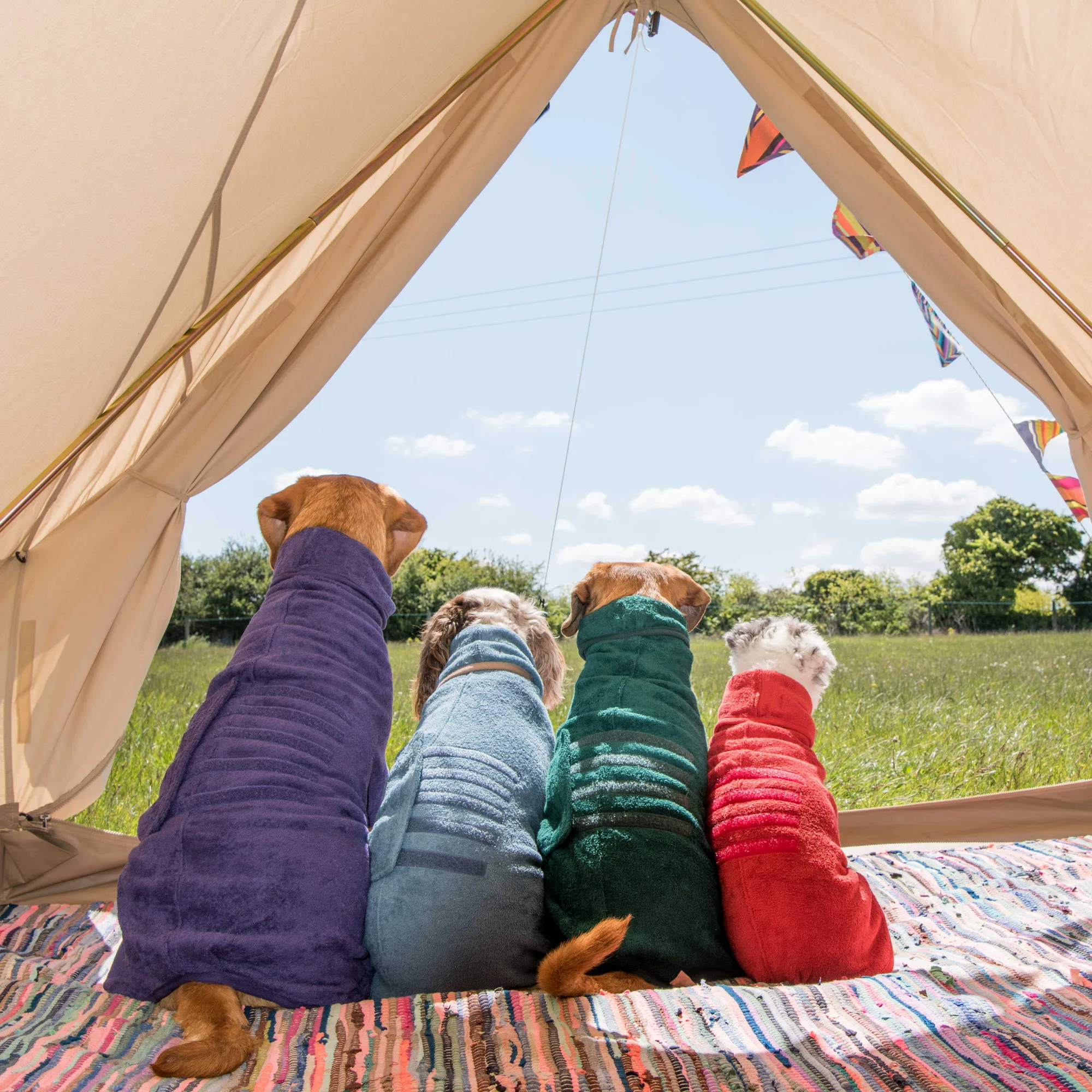 Dog Drying Coat - Classic Collection