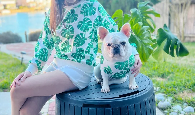 Variegated Monstera Owner and Pet Family Matching Set